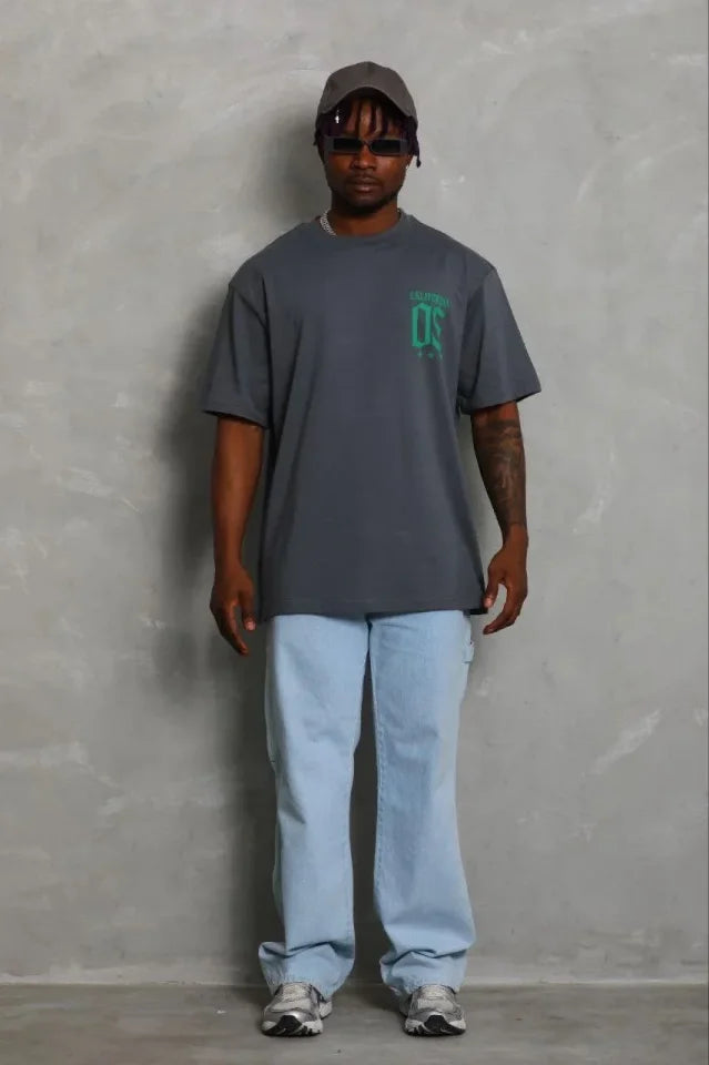 Erkek Baskılı T-Shirt Kısa Kol Bisiklet Yaka Regular Fit Rahat Kalıp Günlük Tişört - Füme (185476)